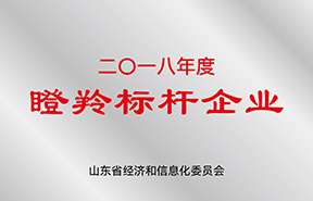 Z6集团新材料股份有限公司