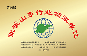 Z6集团新材料股份有限公司