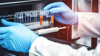 Z6集团新材料股份有限公司